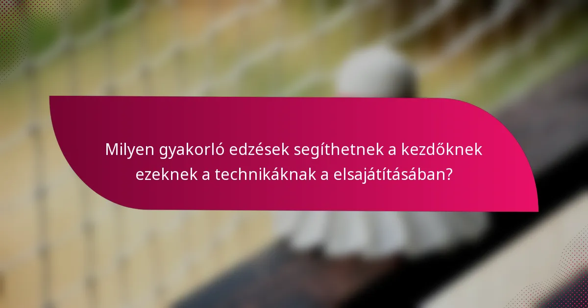 Milyen gyakorló edzések segíthetnek a kezdőknek ezeknek a technikáknak a elsajátításában?